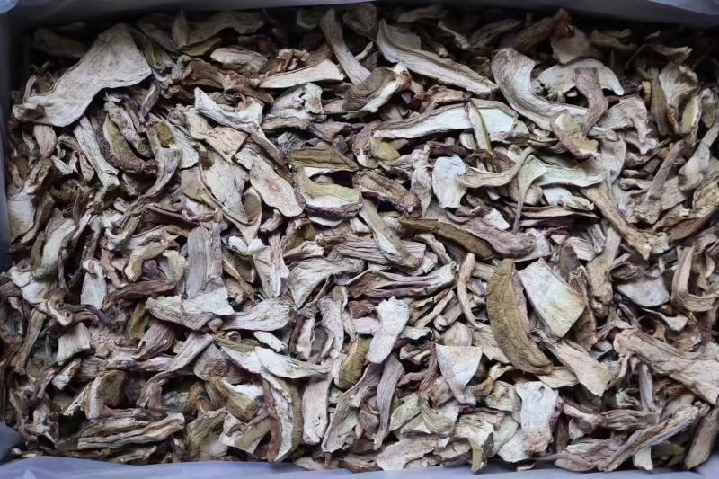 美味牛肝菌口感好卖相漂亮