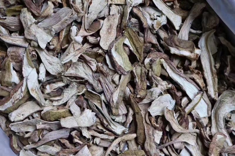 美味牛肝菌口感好卖相漂亮