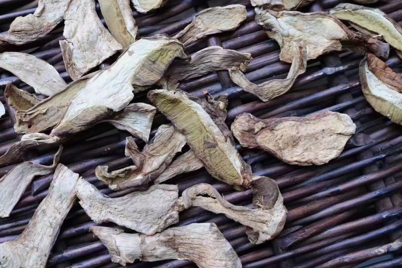美味牛肝菌口感好卖相漂亮