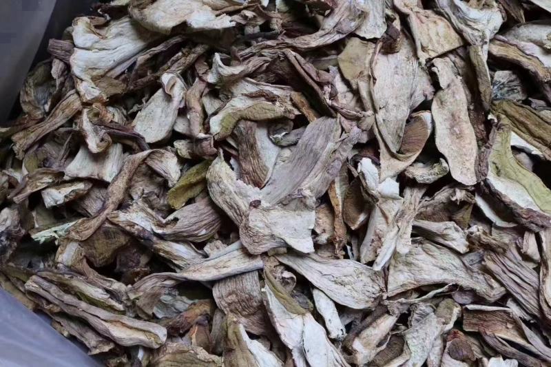 美味牛肝菌口感好卖相漂亮