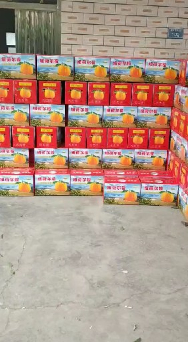 秭归脐橙，长红，纽荷尔，中华红血橙，椪柑一件代发