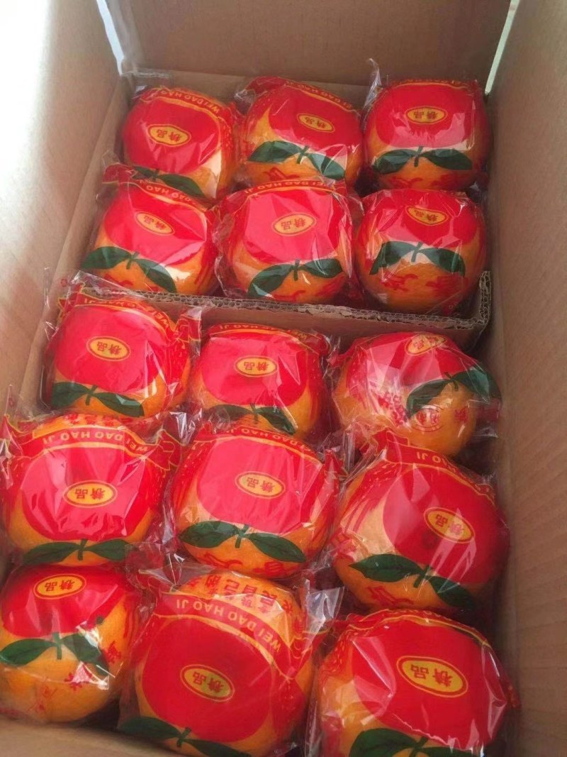 秭归脐橙，长红，纽荷尔，中华红血橙，椪柑一件代发