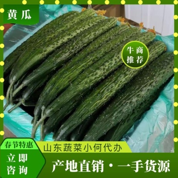 山东黄瓜，颜色黑，短把，密刺一手货源，优选黄瓜电商专供