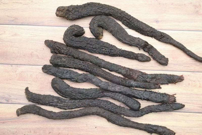 小号肉苁蓉100g左右