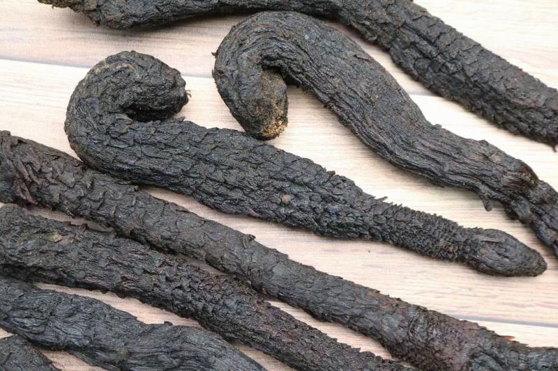 小号肉苁蓉100g左右