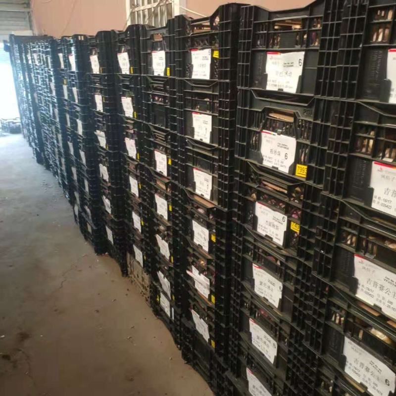 风信子种球进口风信子种球水培土培风信子耐寒进口花卉种球