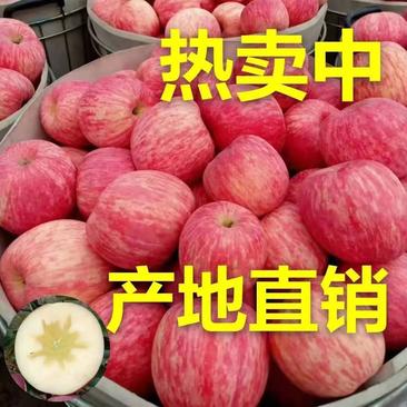 正宗【红富士苹果】条纹全红山东苹果产地【坏果包赔】