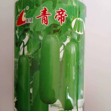 瓠瓜种子一代杂交品种，早熟基地种植专用品种