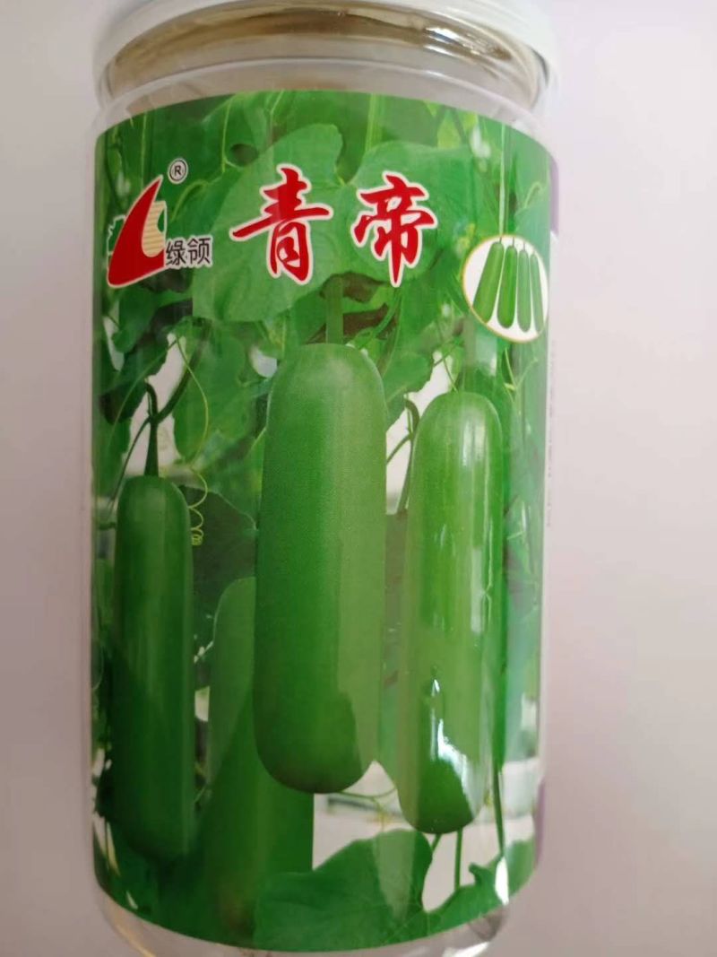 瓠瓜种子一代杂交品种，早熟基地种植专用品种