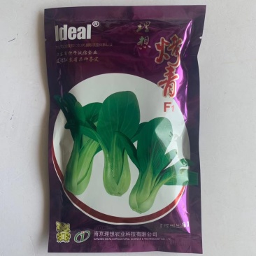 鸡毛菜种子一代杂交品种四季可播种子种子