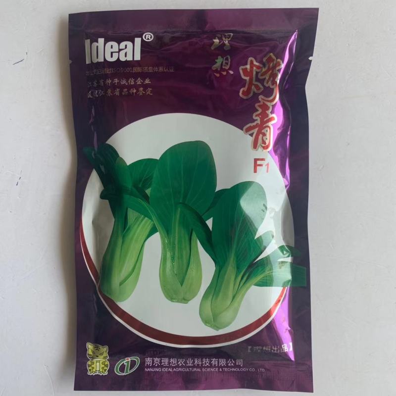 鸡毛菜种子一代杂交品种四季可播种子种子