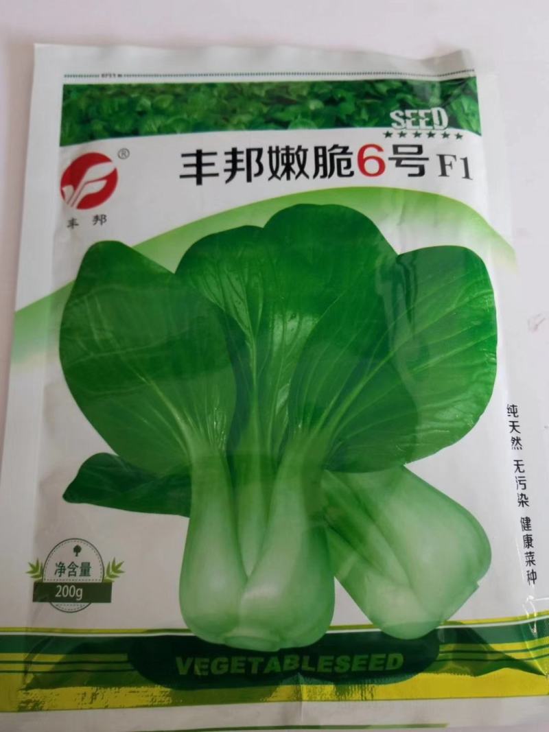 鸡毛菜种子一代杂交品种四季可播种子种子