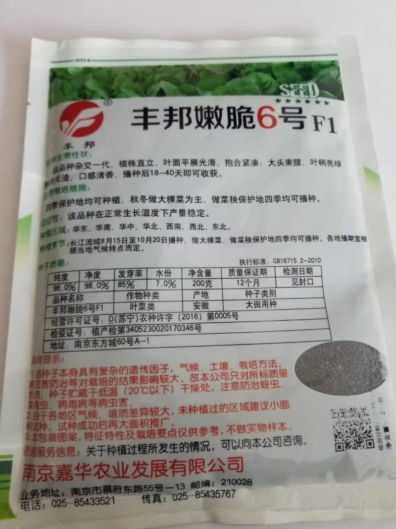 鸡毛菜种子一代杂交品种四季可播种子种子