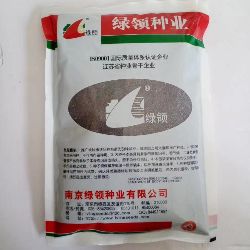 鸡毛菜种子一代杂交品种四季可播种子种子