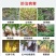 70%噁恶霉灵立枯病猝倒枯萎根腐病死苗土传性病害土壤杀菌