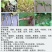 70%噁恶霉灵立枯病猝倒枯萎根腐病死苗土传性病害土壤杀菌