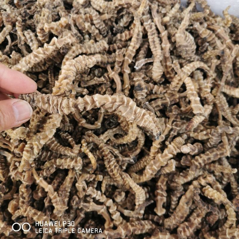 虫草参地参包邮云南地道药材产地直发量大从优
