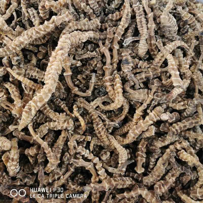 虫草参地参包邮云南地道药材产地直发量大从优