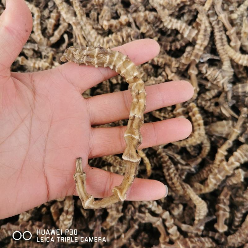 虫草参地参包邮云南地道药材产地直发量大从优