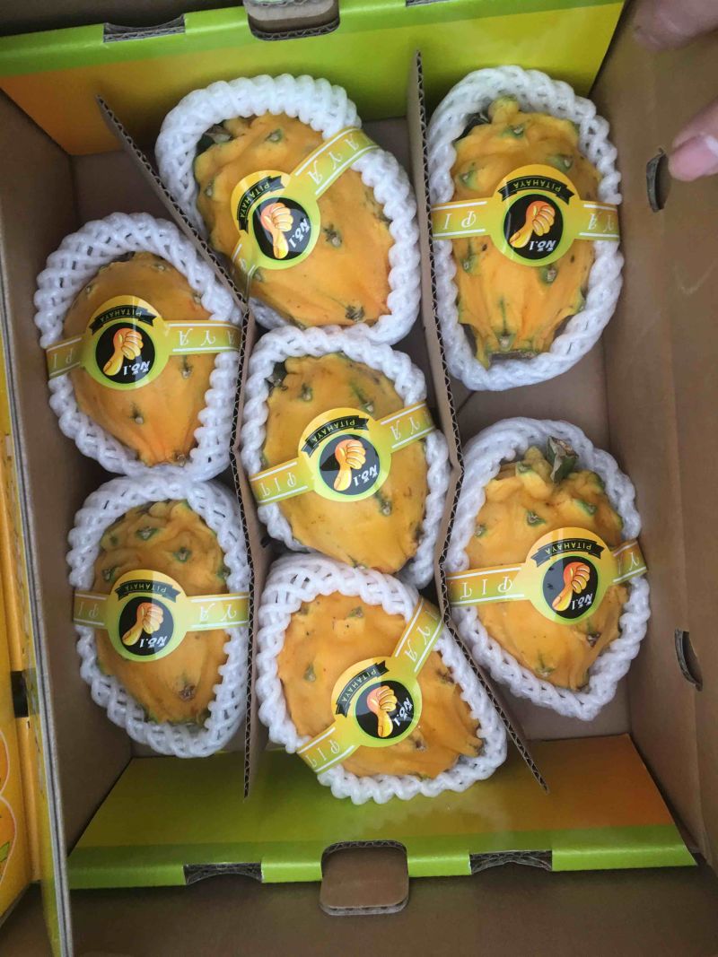 哥伦比亚麒麟果，燕窝果，
