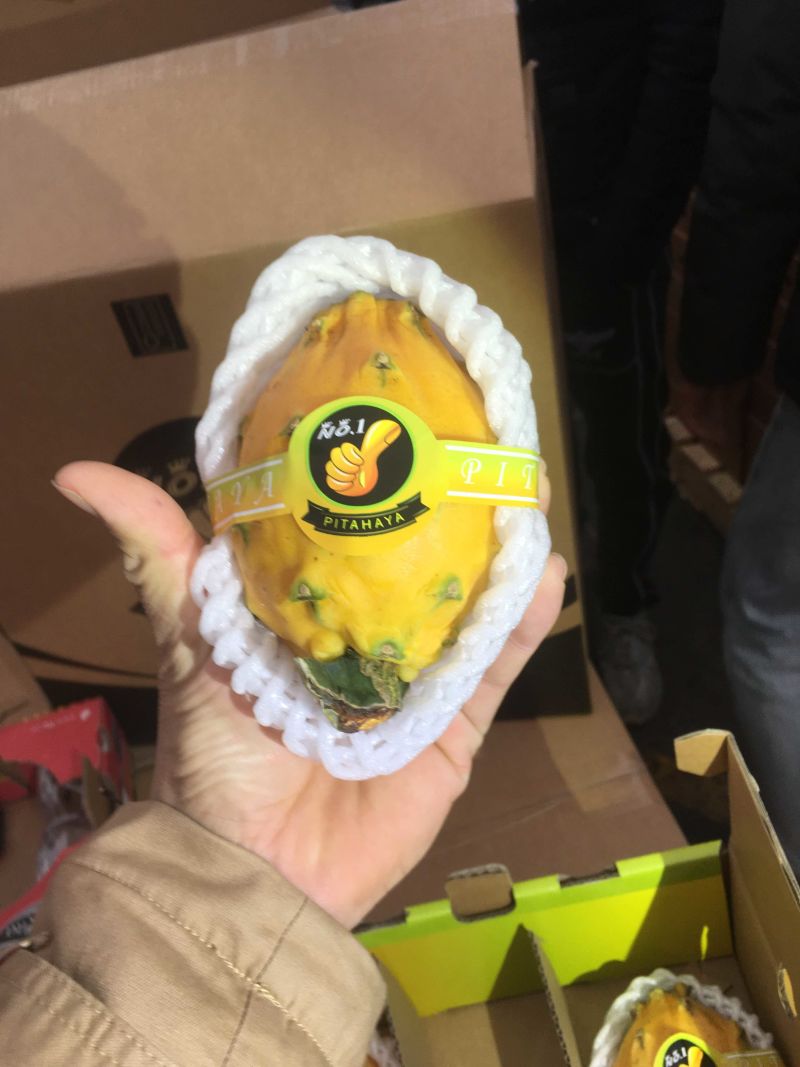 哥伦比亚麒麟果，燕窝果，