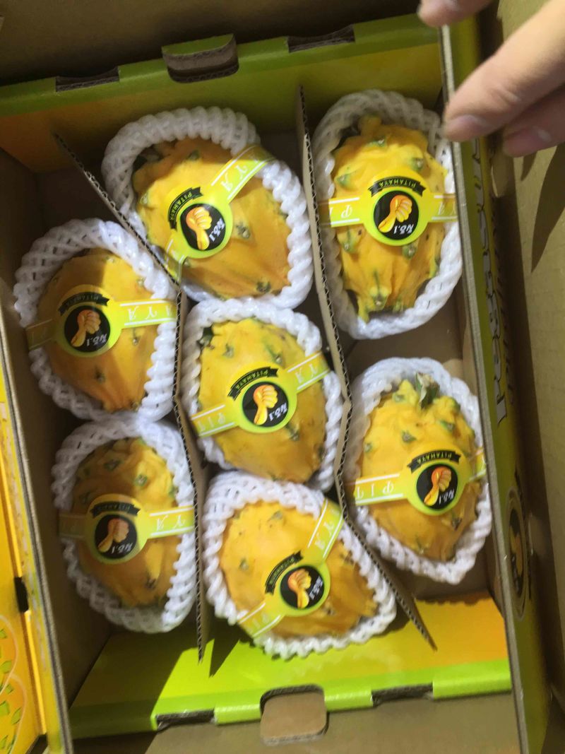 哥伦比亚麒麟果，燕窝果，