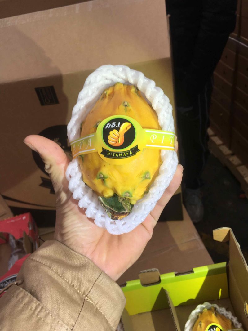 哥伦比亚麒麟果，燕窝果，