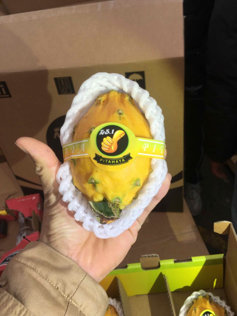 哥伦比亚麒麟果，燕窝果，