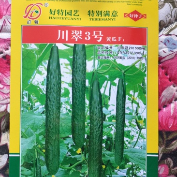 好特园艺川翠3号黄瓜
