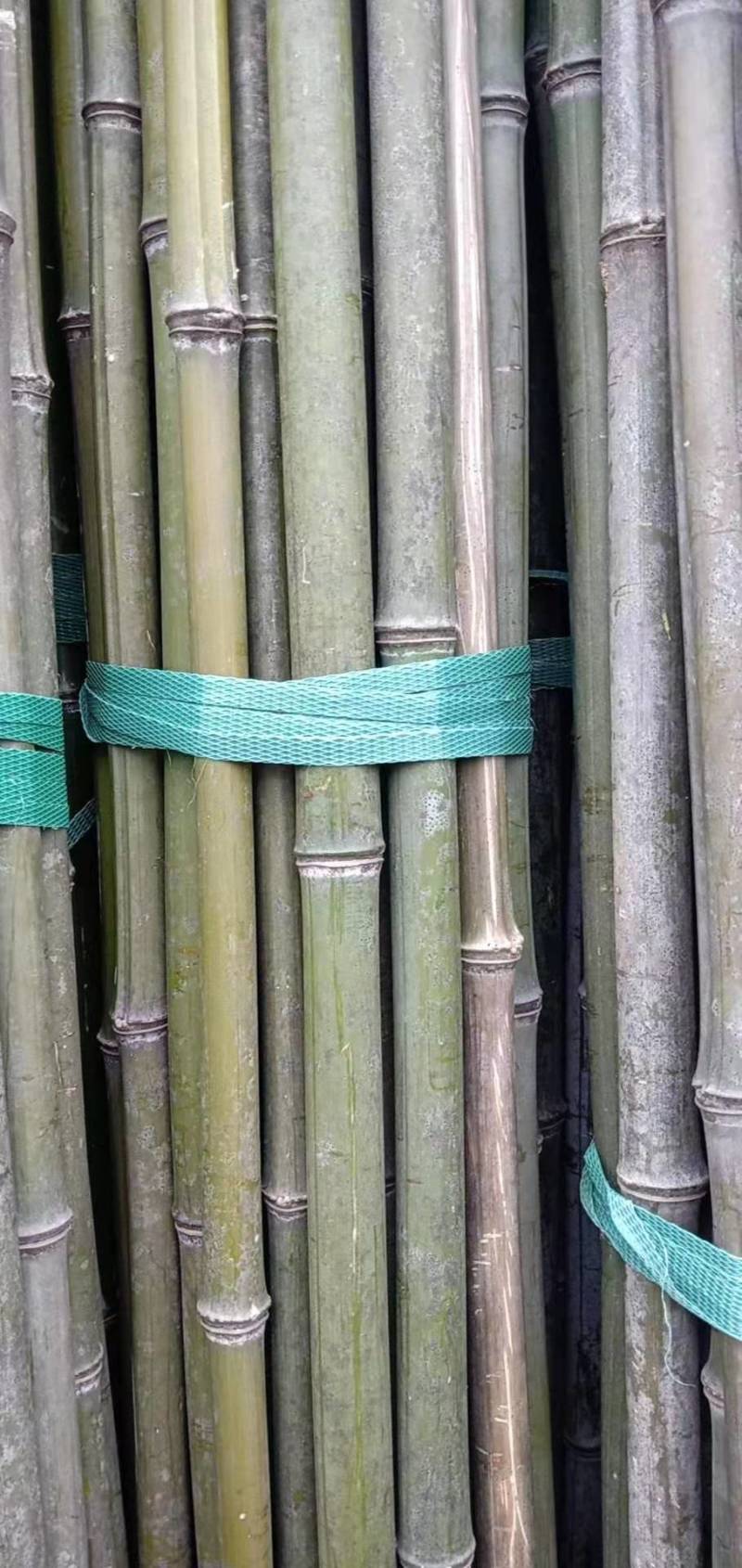 【精品】竹竿批发，大量现货，一手货源，货比三家，价格实惠