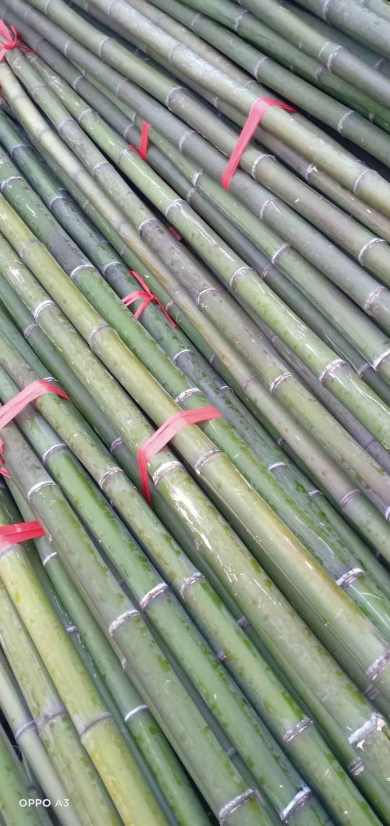 【精品】竹竿批发，大量现货，一手货源，货比三家，价格实惠