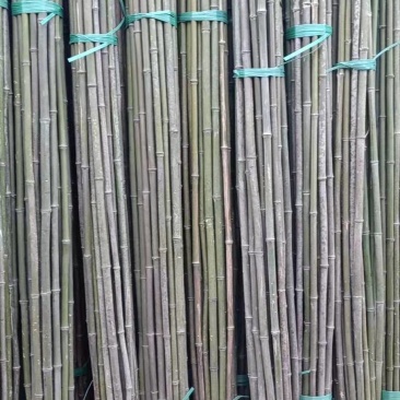 【精品】竹竿批发，大量现货，一手货源，货比三家，价格实惠