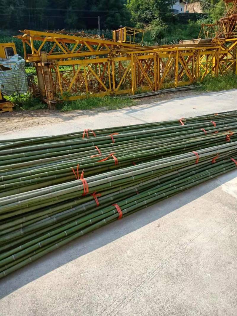 【精品】竹竿批发，大量现货，一手货源，货比三家，价格实惠