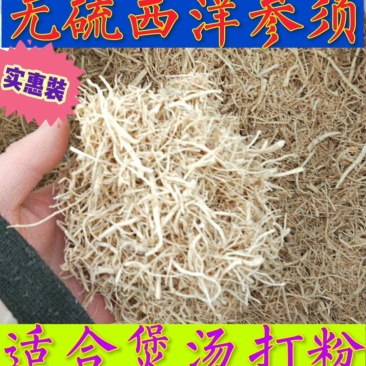 五年无硫西洋参须原产地批发量大从优欢迎选购