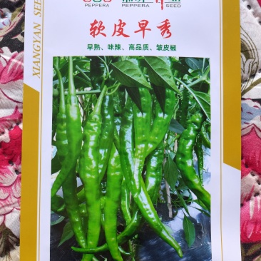 软皮早秀辣椒湘研种业