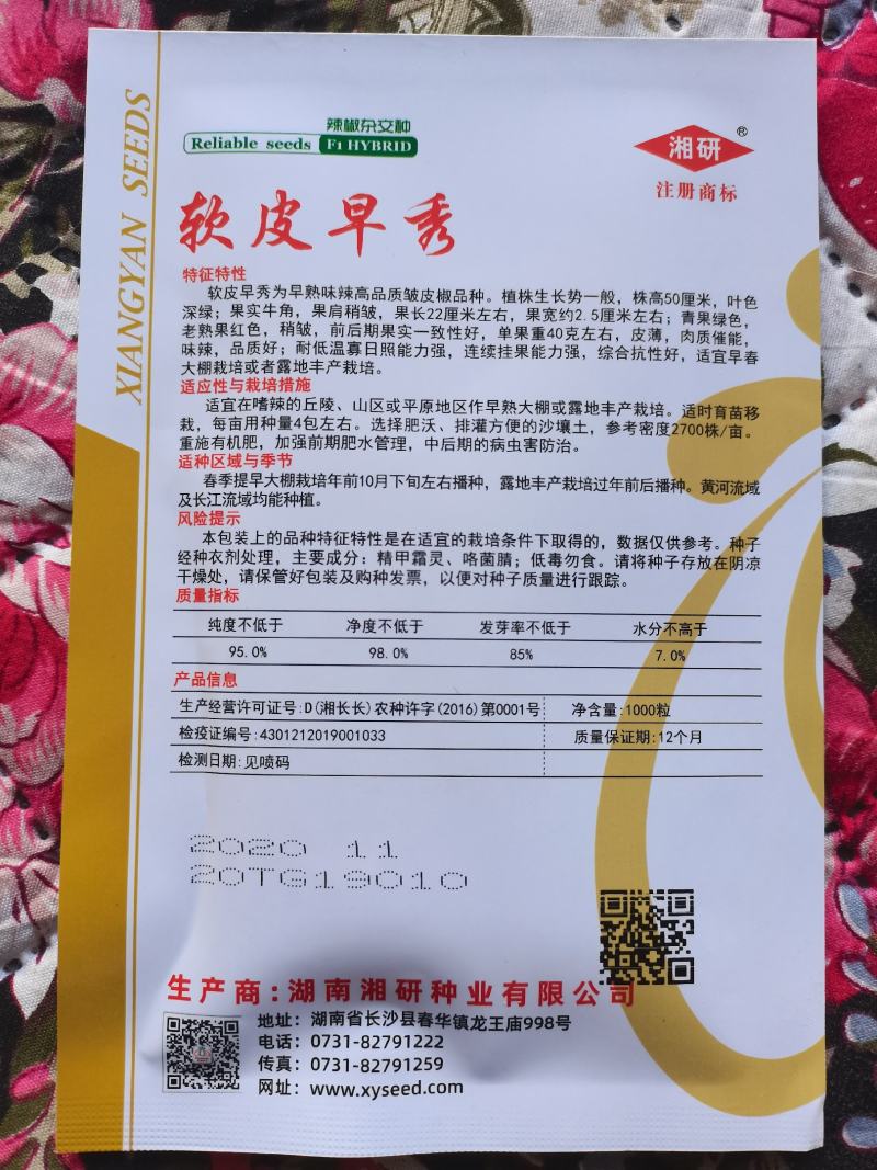 软皮早秀辣椒湘研种业