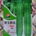 北园精品翠玉黄瓜种子