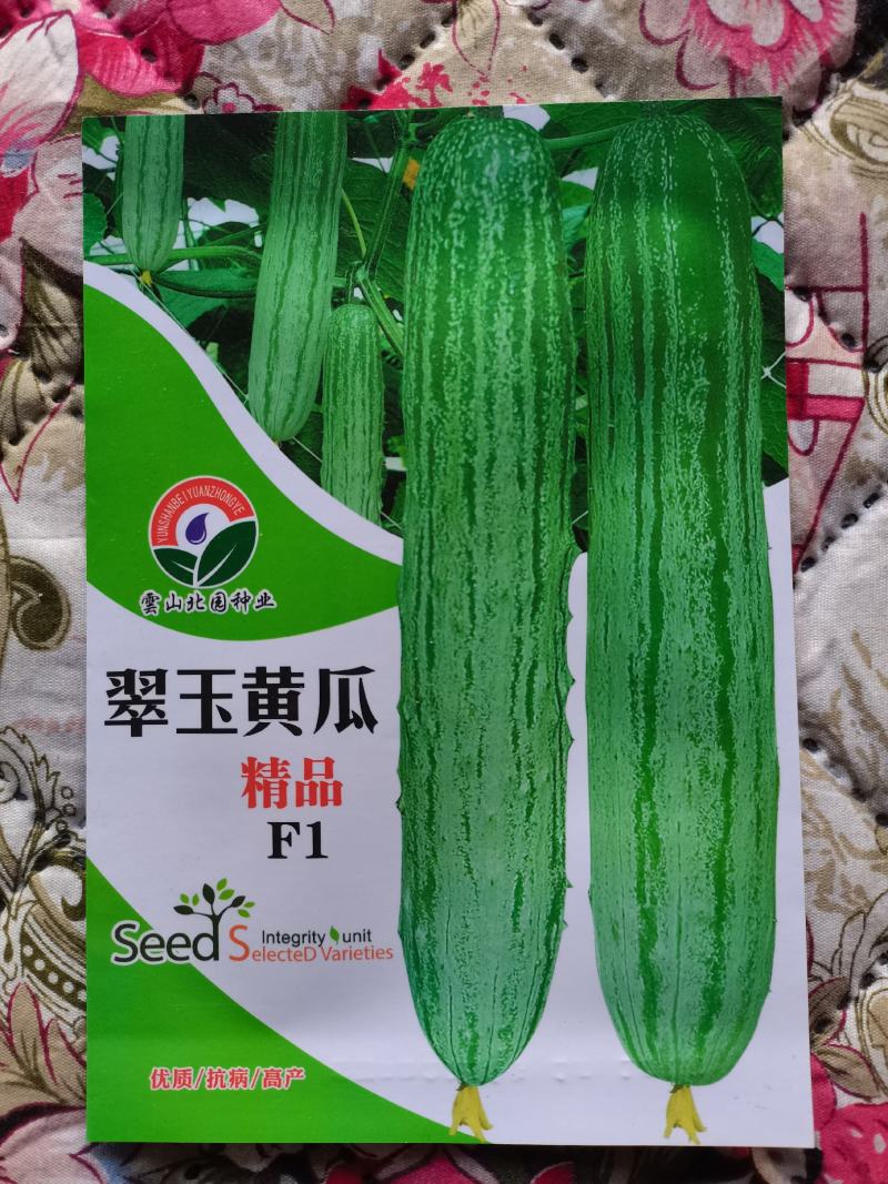 北园精品翠玉黄瓜种子