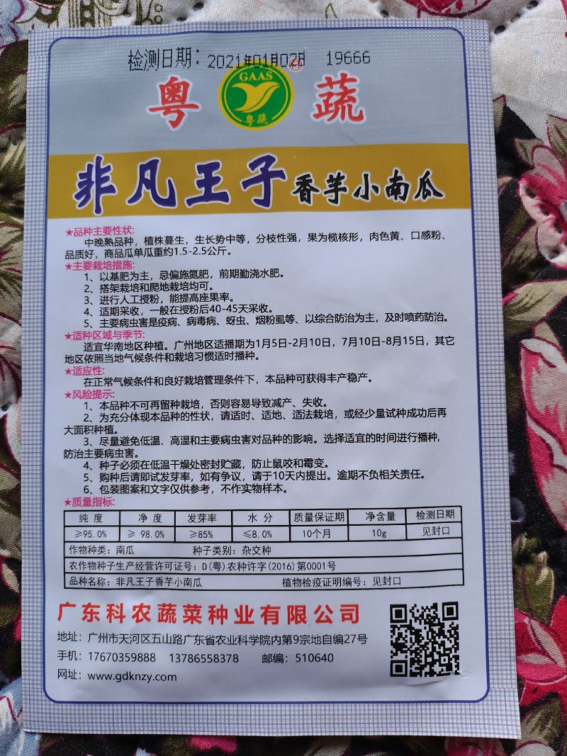 广东科农非凡王子香芋小南瓜