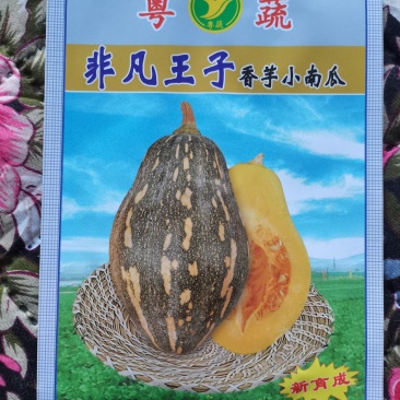 广东科农非凡王子香芋小南瓜
