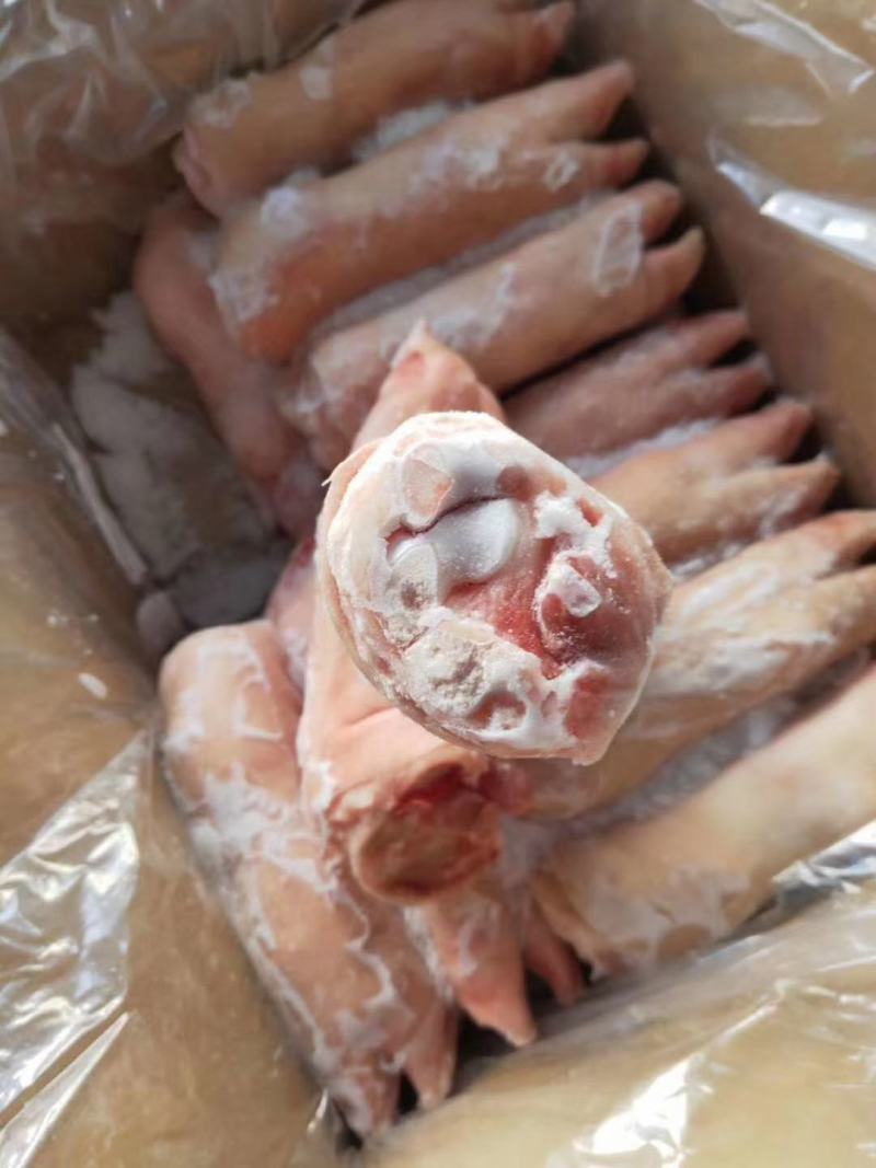 猪肉带筋前蹄，干净无毛