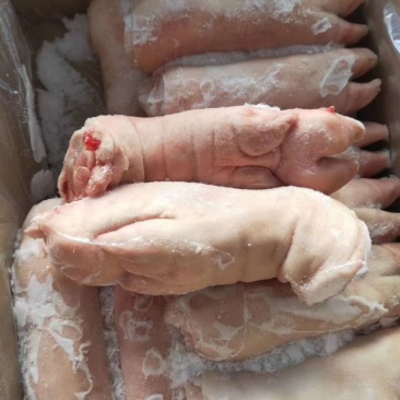 猪肉带筋前蹄，干净无毛
