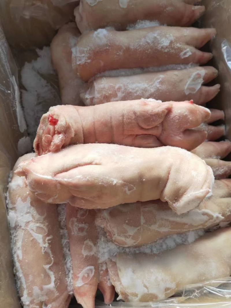 猪肉带筋前蹄，干净无毛