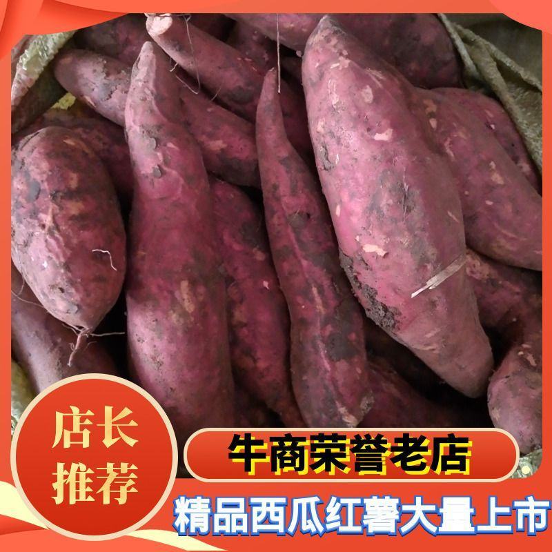 【老板好客】西瓜红蜜薯基地自产自销货源足质量好供货大型市场