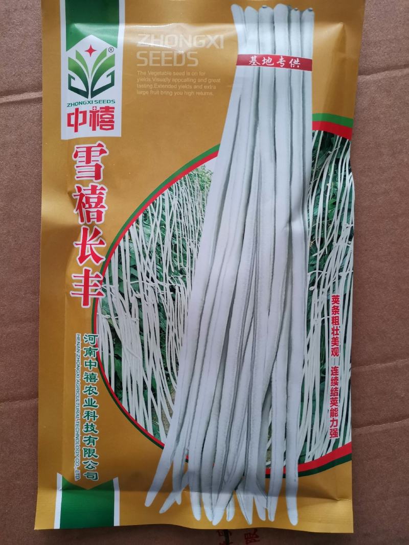 纯白雪禧豇豆豆角种子品质好产量高抗性好