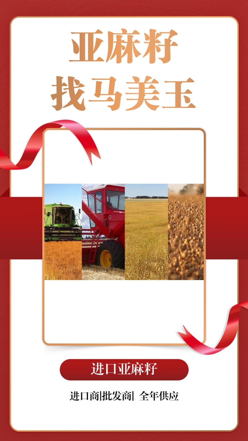 亚麻籽现货发售产地(俄罗斯/哈萨克)优质亚麻籽，大宗供应