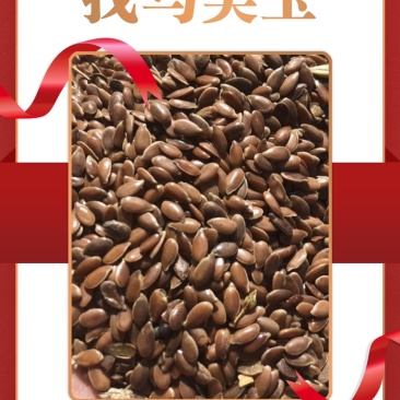 亚麻籽现货发售产地(俄罗斯/哈萨克)优质亚麻籽,大宗供应