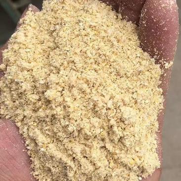 厂家批发玉米次粉无土无沙质量保证量大从优
