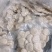 北海北部湾手工墨鱼饼