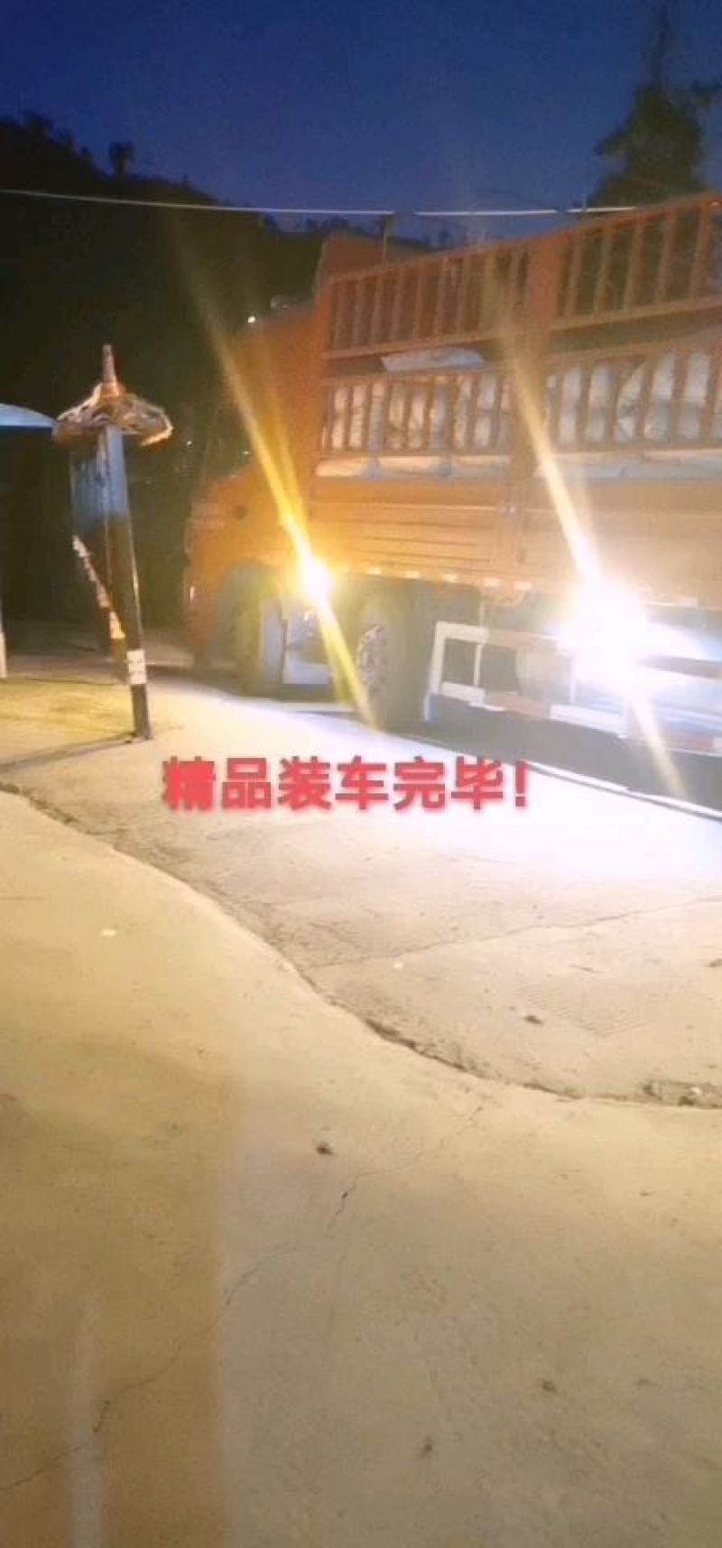 【牛商优选】精品人头芋，四川攀枝花产地直发，本人